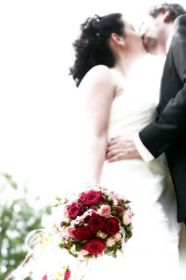 IMG_6826a.jpg
